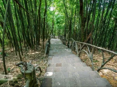 Đường lên đền Bà Chúa (nguồn: interenet)