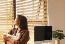 Độc thân mua nhà tại sao không (Ảnh: Internet)