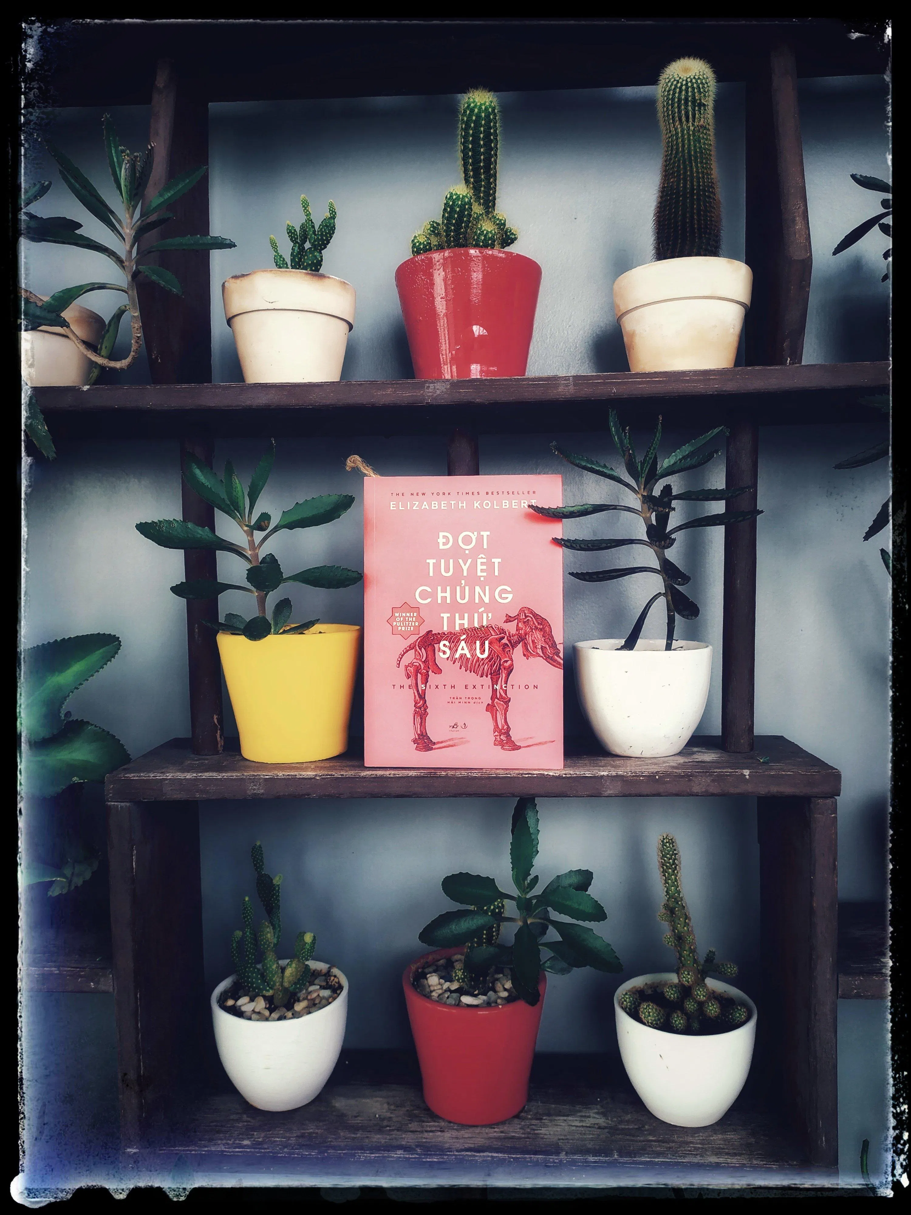 Gấp lại cuốn sách, tôi biết mình phải quý trọng mọi khoảnh khắc phi thường mình đang sống. (Ảnh: BlogAnChoi)