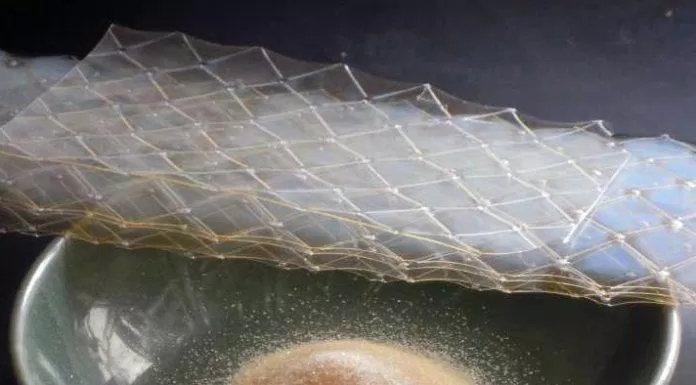 Gelatine là nguyên liệu quen thuộc (Nguồn: Internet).