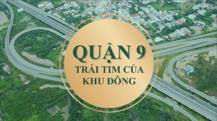 Hệ thống mảng xanh đáng ống ở quận 9 (Ảnh: Internet)