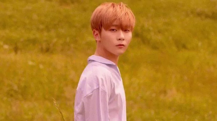 Seungkwan (SEVENTEEN) là một ngôi sao nhạc Trot đầy triển vọng. (Nguồn: Internet)
