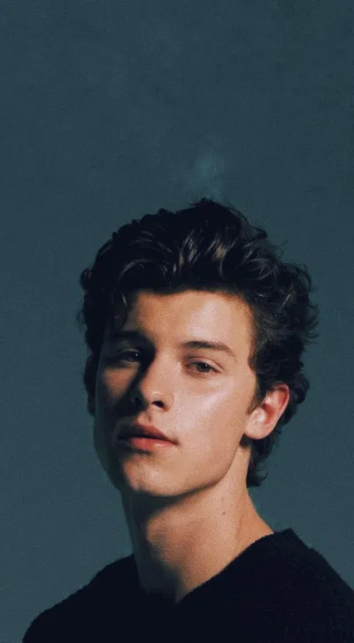 Shawn Mendes (Ảnh: Internet)