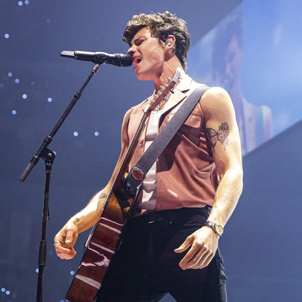Shawn Mendes (Ảnh: Internet)