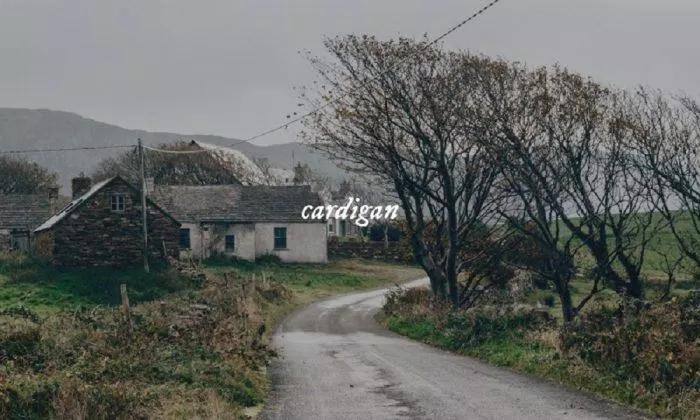 Ảnh fanmade ca khúc 'cardigan'. Thoát ly thực tại với album Folklore: The Escapism Chapter của Taylor Swift âm nhạc Bon Iver cardigan epiphany exile folklore mirrorball sao thế giới seven taylor swift the escapism chapter the lakes