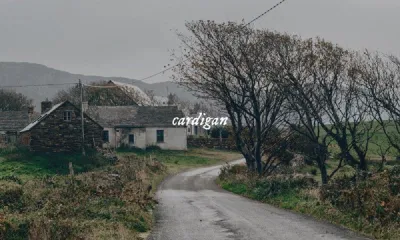 Ảnh fanmade ca khúc 'cardigan'. Thoát ly thực tại với album Folklore: The Escapism Chapter của Taylor Swift âm nhạc Bon Iver cardigan epiphany exile folklore mirrorball sao thế giới seven taylor swift the escapism chapter the lakes
