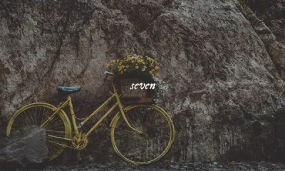 Ảnh fanmade ca khúc 'seven'. Thoát ly thực tại với album Folklore: The Escapism Chapter của Taylor Swift âm nhạc Bon Iver cardigan epiphany exile folklore mirrorball sao thế giới seven taylor swift the escapism chapter the lakes