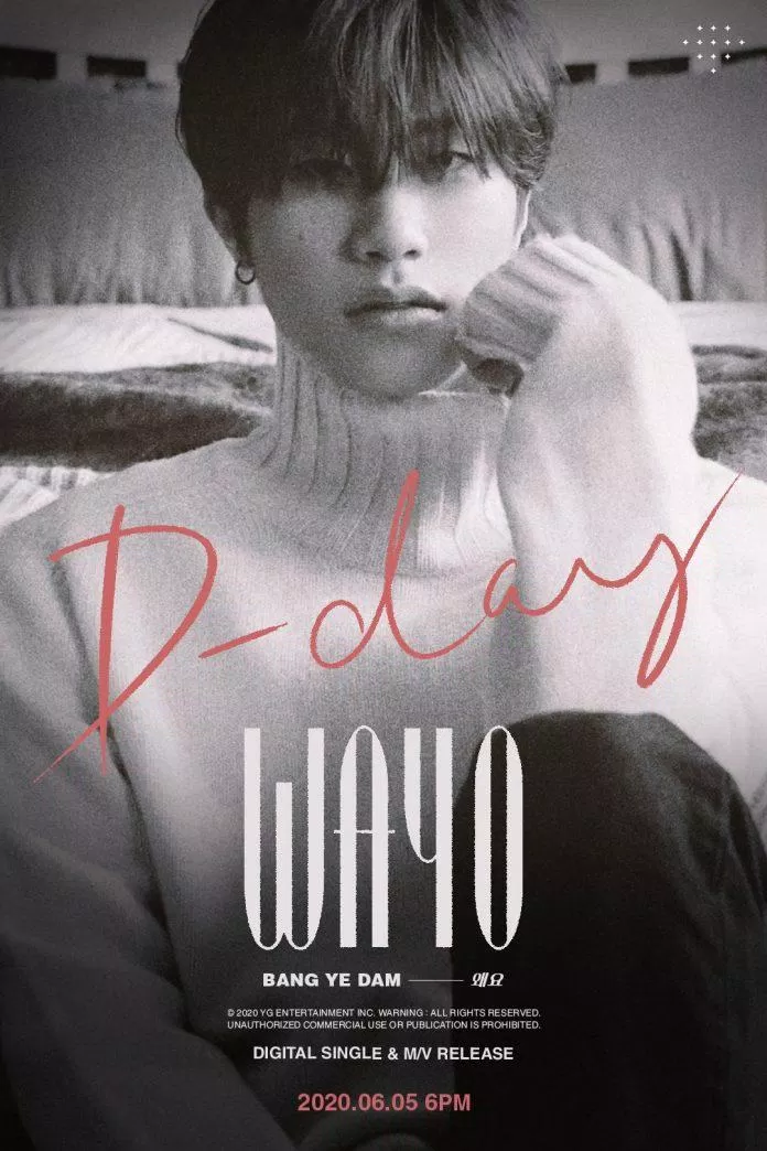 Solo single debut WAYO có thành tích khả quan (Nguồn: Internet).