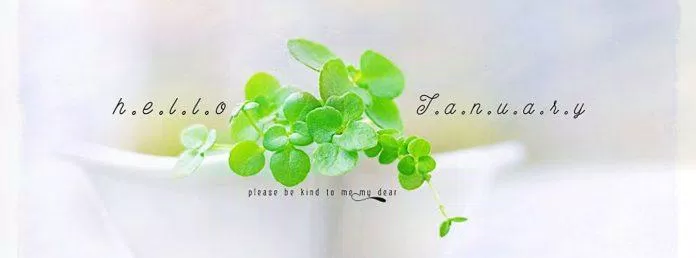 Ảnh bìa Facebook đẹp cho tháng 1. (Ảnh: BlogAnChoi)