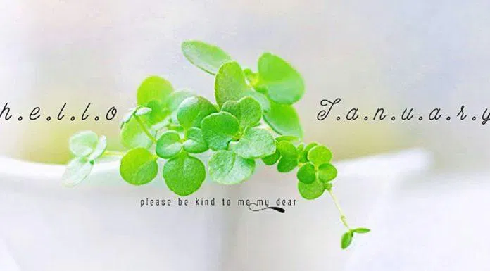 Ảnh bìa Facebook đẹp cho tháng 1. (Ảnh: BlogAnChoi)