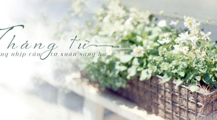 Ảnh bìa Facebook tháng 4 đẹp. (Ảnh: Internet)