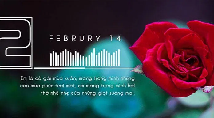 Miễn phí 100+ ảnh bìa Facebook đẹp, mới nhất 2020 với caption ý nghĩa ảnh bìa đẹp độc ảnh bìa Facebook ảnh bìa facebook đẹp ảnh bìa fb cover facebook hài hước kích thước ảnh bìa facebook Miễn phí tháng 11