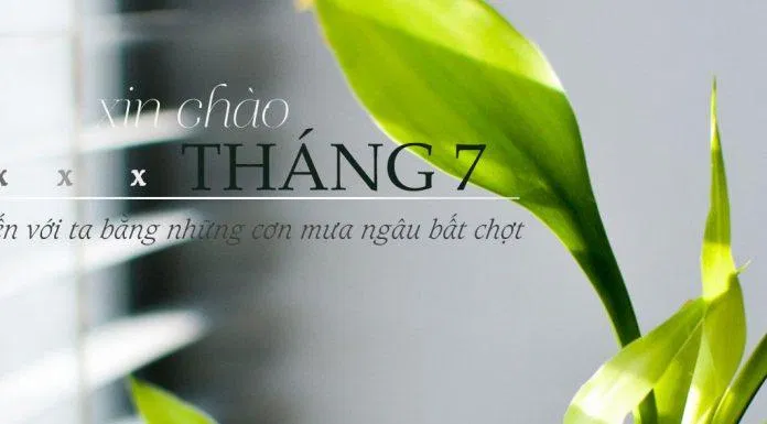 Tháng 7 đến với ta bằng những cơn mưa ngâu bất chợt. (Ảnh: BlgAnChoi)