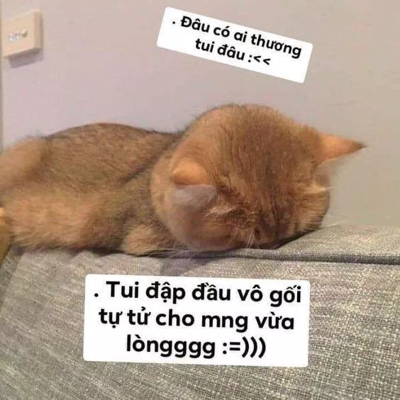 Tổng hợp 99+ ảnh chế hài hước mới nhất =)) - BlogAnChoi