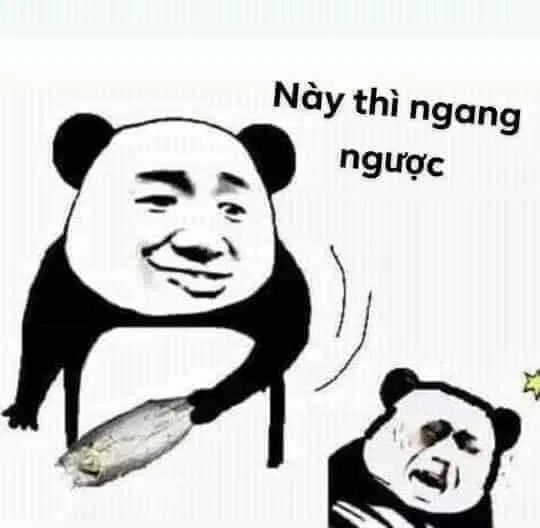 Ảnh meme chế cực hài hước. Nguồn: Internet