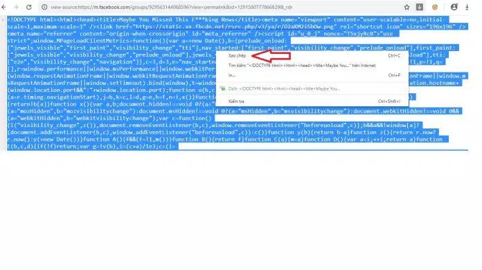 Sao chép toàn bộ nguồn trang (Ảnh: BlogAnChoi)