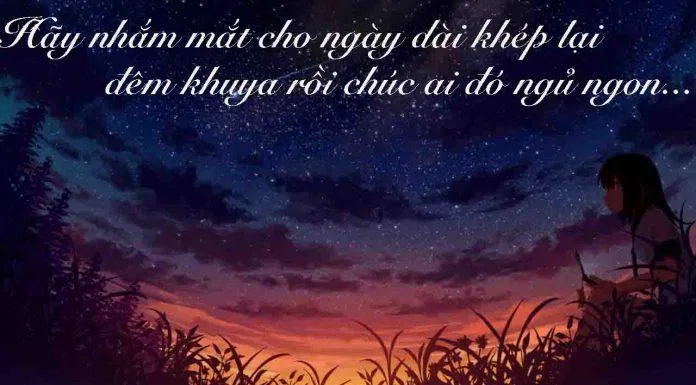 Lời chúc ngủ ngon ngọt ngào. (Ảnh: internet)