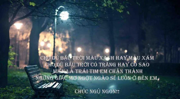 Những lời chúc ngủ ngon trêu giúp tạo tiếng cười (ảnh internet)