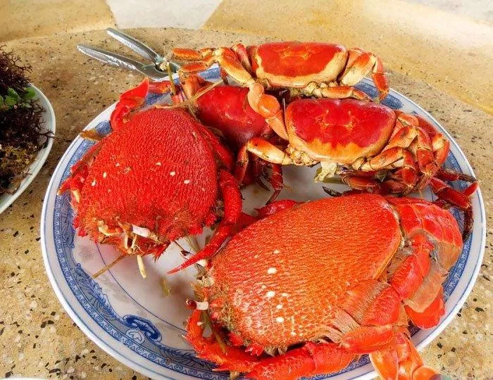 Đặc sản cua huỳnh đế - Mũi Né. (Nguồn: Internet)