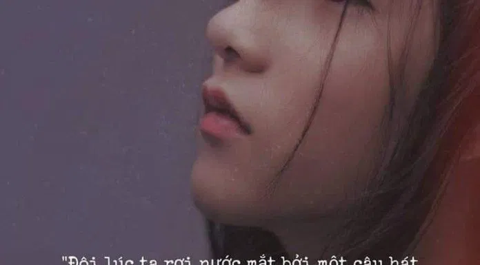 Hình ảnh buồn cùng những status tâm trạng (Nguồn: Internet) Hình ảnh buồn cùng những status tâm trạng (Nguồn: Internet)