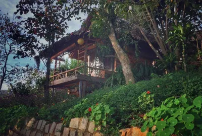 Củi homestay Đà Lạt (ảnh: internet)