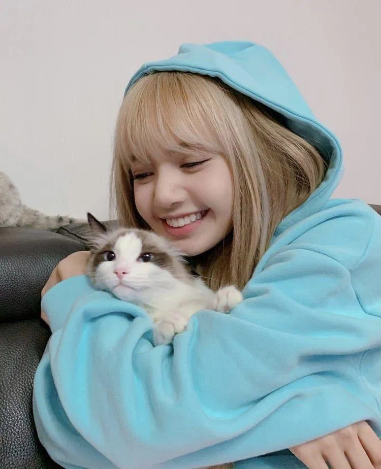 Má bánh bao tạo nên nét “cưng xỉu” của Lisa (Ảnh: Internet)