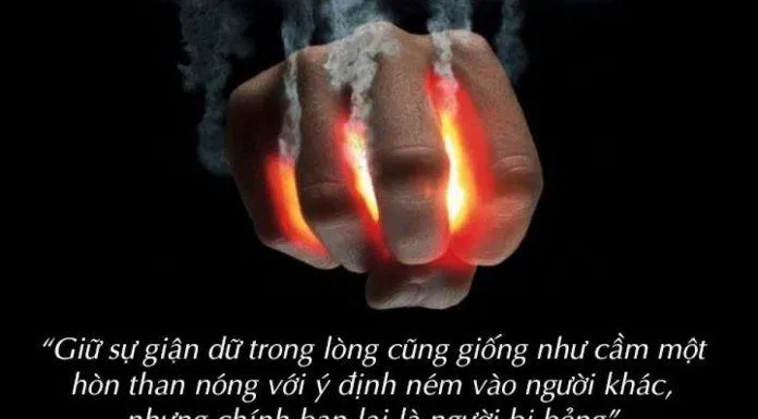 Nóng giận là bản năng, kiềm chế là bản lĩnh. (Ảnh: internet)