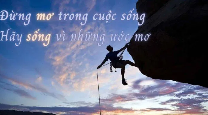 Những câu nói hay về cuộc sống.. (Ảnh: internet)