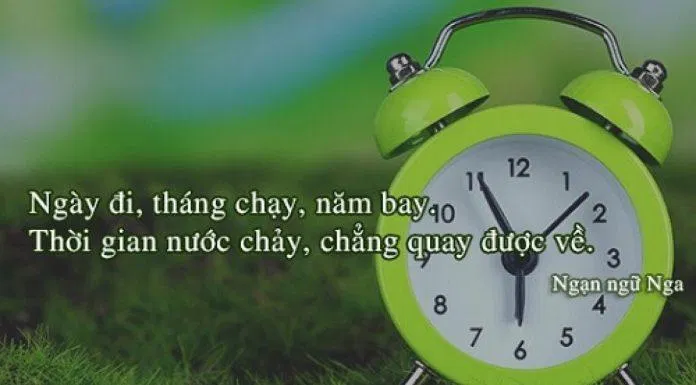 Những câu nói hay. (Ảnh: internet)