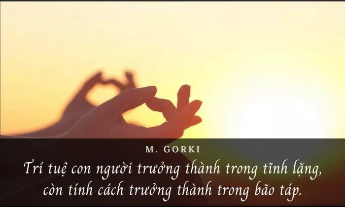 Trí tuệ con người trưởng thành trong tĩnh lặng, còn tính cách con người trưởng thành trong bão táp. (ảnh: internet)