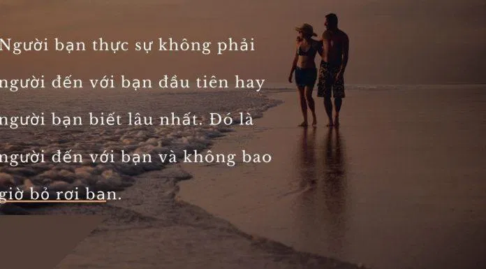 Những câu nói hay. (Ảnh: internet)