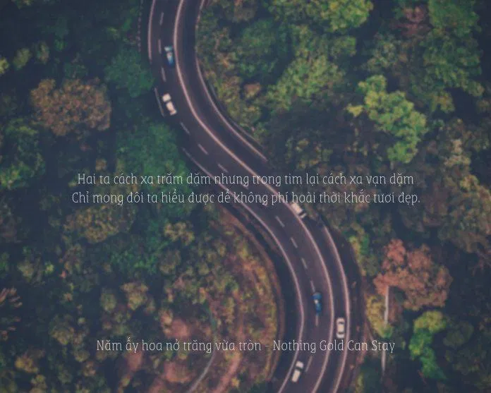 Nothing Gold Can Stay (Ảnh Internet)