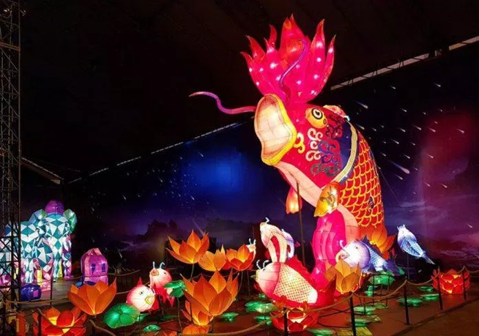 Đầm Sen - địa điểm vui chơi ở Quận 11 (Nguồn: Internet) Đầm Sen - địa điểm vui chơi ở Quận 11 (Nguồn: Internet)