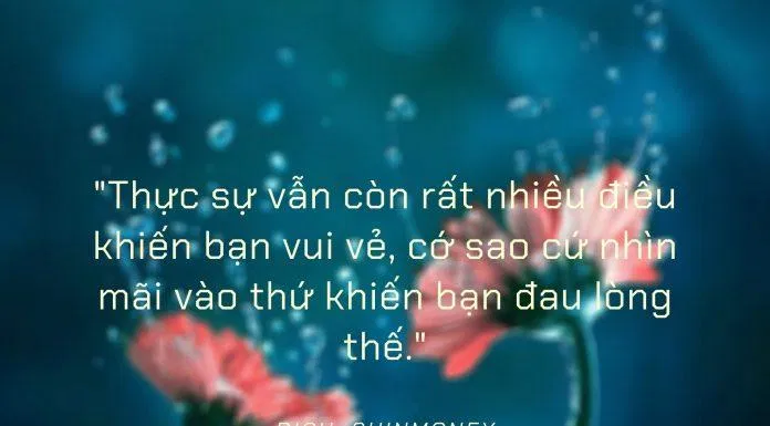 Sống lạc quan cũng là cách để điều khiển cuộc sống đấy (Ảnh Internet)