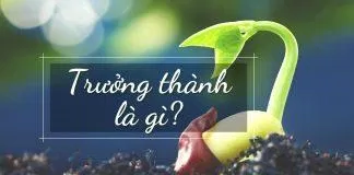 Trưởng thành là gì? (Ảnh: internet)