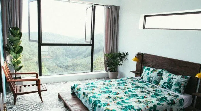 View phòng ngủ nhìn ra đồi thông tại The Kupid Hill Homestay ( nguồn: Internet )