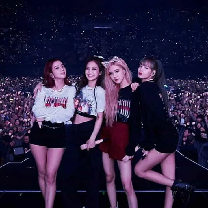 BLACKPINK concert (Ảnh: Internet)