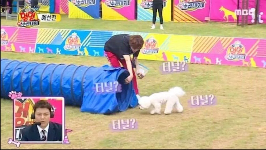 Bonggu của Jaehyun đã vượt qua các chướng ngại vật một cách chậm rãi (ảnh: internet) Bonggu của Jaehyun đã vượt qua các chướng ngại vật một cách chậm rãi (ảnh: internet)