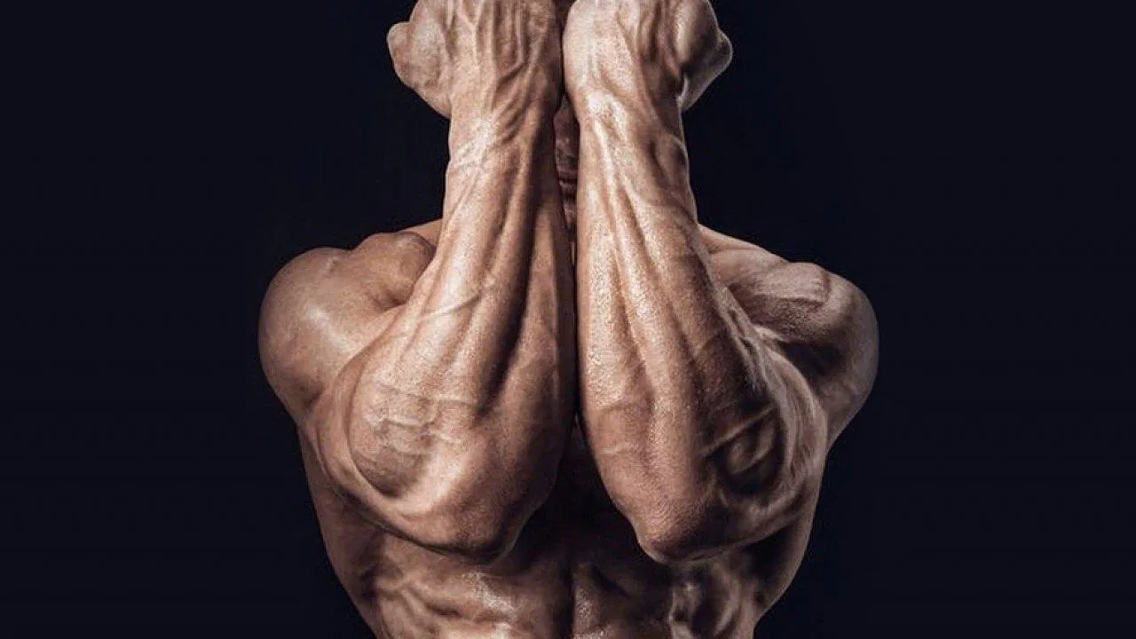 Sức mạnh ở cẳng tay và bàn tay là phần thưởng cho những ai chăm chỉ hít xà (Ảnh: Internet). Sức mạnh ở cẳng tay và bàn tay là phần thưởng cho những ai chăm chỉ hít xà (Ảnh: Internet).