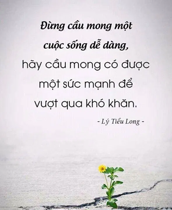 Cuộc sống không bao giờ là dễ dàng, nếu muốn sống bạn phải có đủ sức mạnh để vượt lên. (Ảnh: Internet)