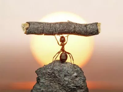 Những câu châm ngôn sống hay sẽ truyền động lực cho bạn. (Ảnh: Internet)