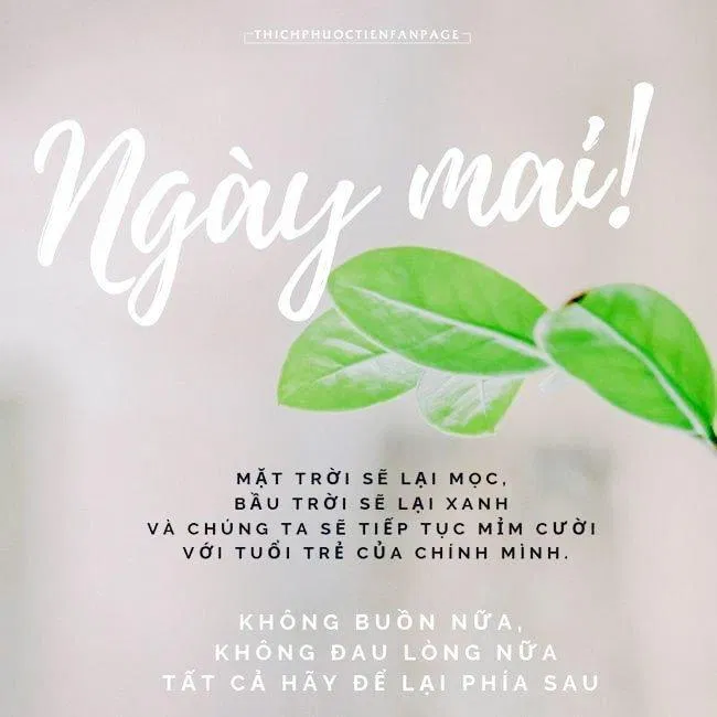 Chỉ cần mặt trời còn mọc là còn hy vọng về một ngày mai sẽ tốt hơn. (Ảnh: Internet)