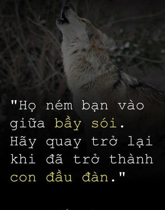 Khó khăn có thể hạ gục bạn, hoặc khiến bạn mạnh mẽ hơn. (Ảnh: Internet)