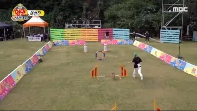 Chú chó Kongbin tràn đầy năng lượng của Yubin đã "lệch" ra ngoài đường đua (ảnh: internet) Chú chó Kongbin tràn đầy năng lượng của Yubin đã "lệch" ra ngoài đường đua (ảnh: internet)