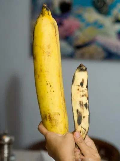 Chuối 18cm và chuối 8cm nó khác nhau như thế đấy. (Ảnh: Internet)