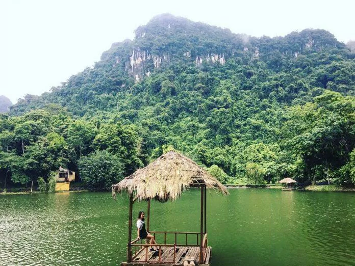 Vườn Quốc gia Cúc Phương. (Nguồn: Internet)