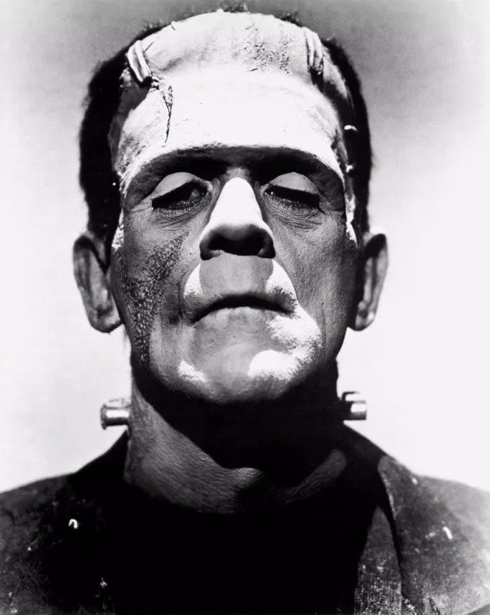 Tên con quái vật thường bị nhầm lẫn thành Frankenstein, người tạo ra nó (ảnh: Internet)