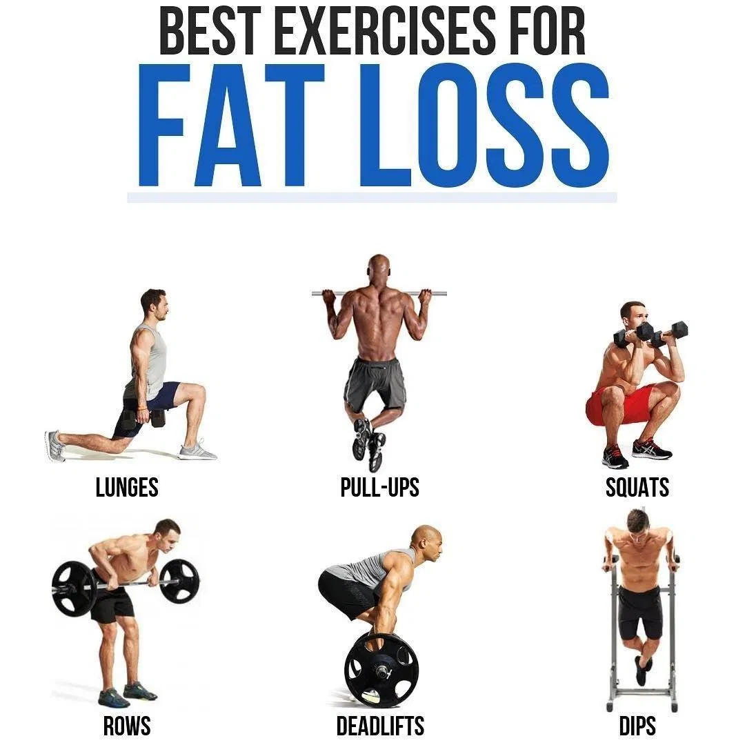 Hít xà được xếp vào nhóm những bài tập giảm mỡ hiệu quả nhất (Ảnh: Internet). Hít xà được xếp vào nhóm những bài tập giảm mỡ hiệu quả nhất (Ảnh: Internet).