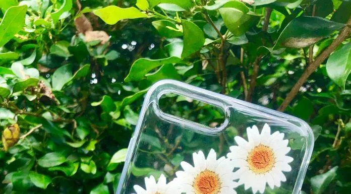 Bạn hoàn toàn có thể sử dụng những hình nền hoa cúc này để in ốp điện thoại cực đẹp, cực độc. (Ảnh: Internet)