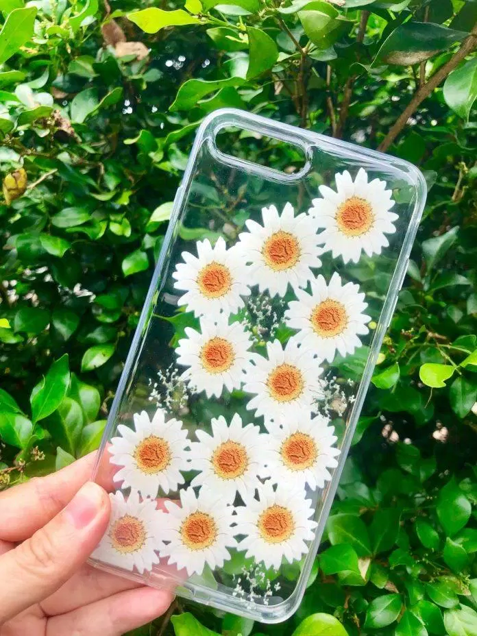 Hình nền hoa cúc đẹp cho điện thoại. (Ảnh: Internet)